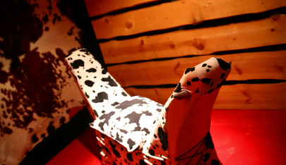 Only4you - Swinger Club in Merbes Le Chateau, Belgium