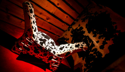 Only4you - Swinger Club in Merbes Le Chateau, Belgium
