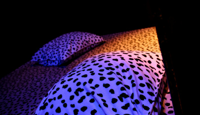 Only4you - Swinger Club in Merbes Le Chateau, Belgium