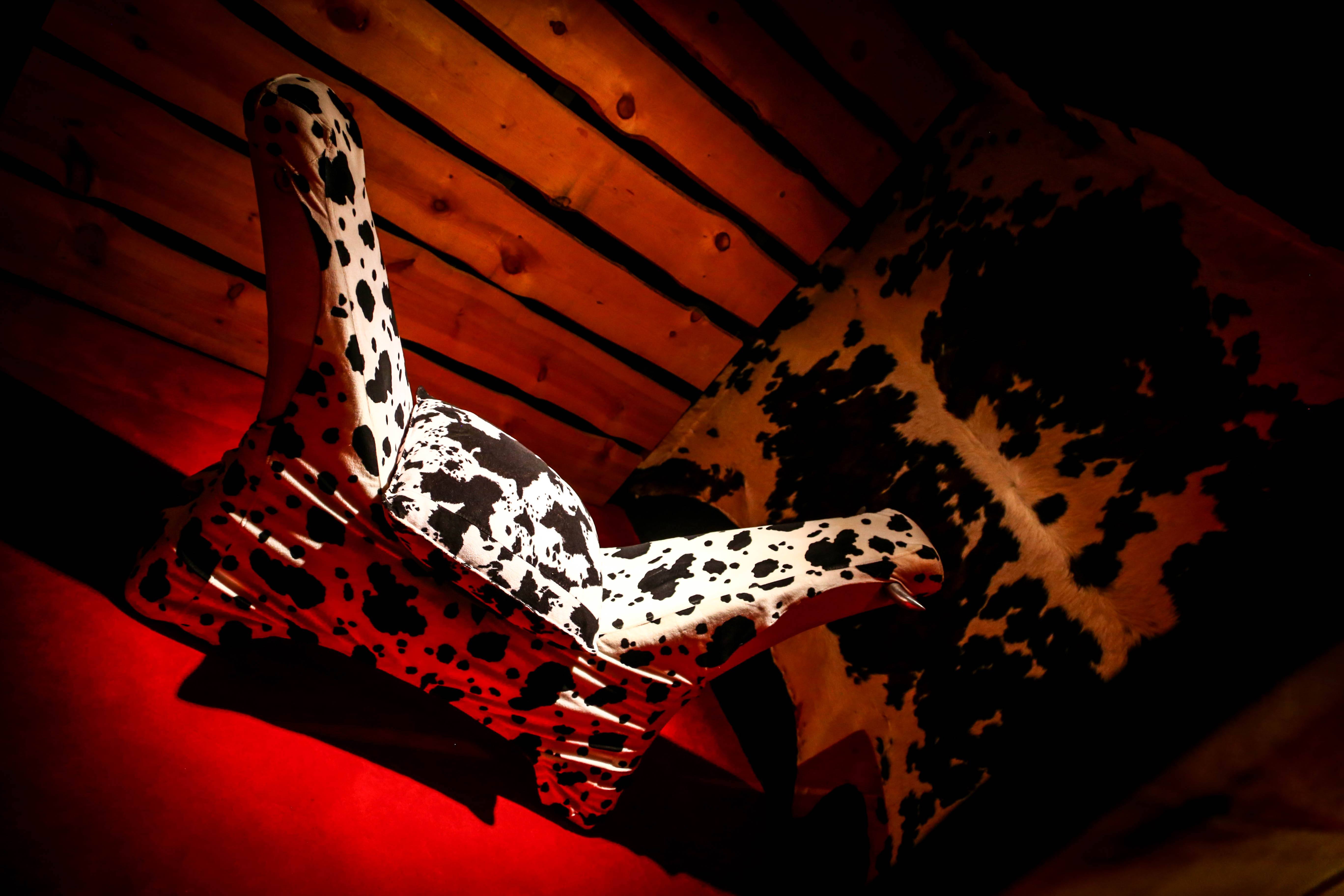 Only4you - Swinger Club in Merbes Le Chateau, Belgium