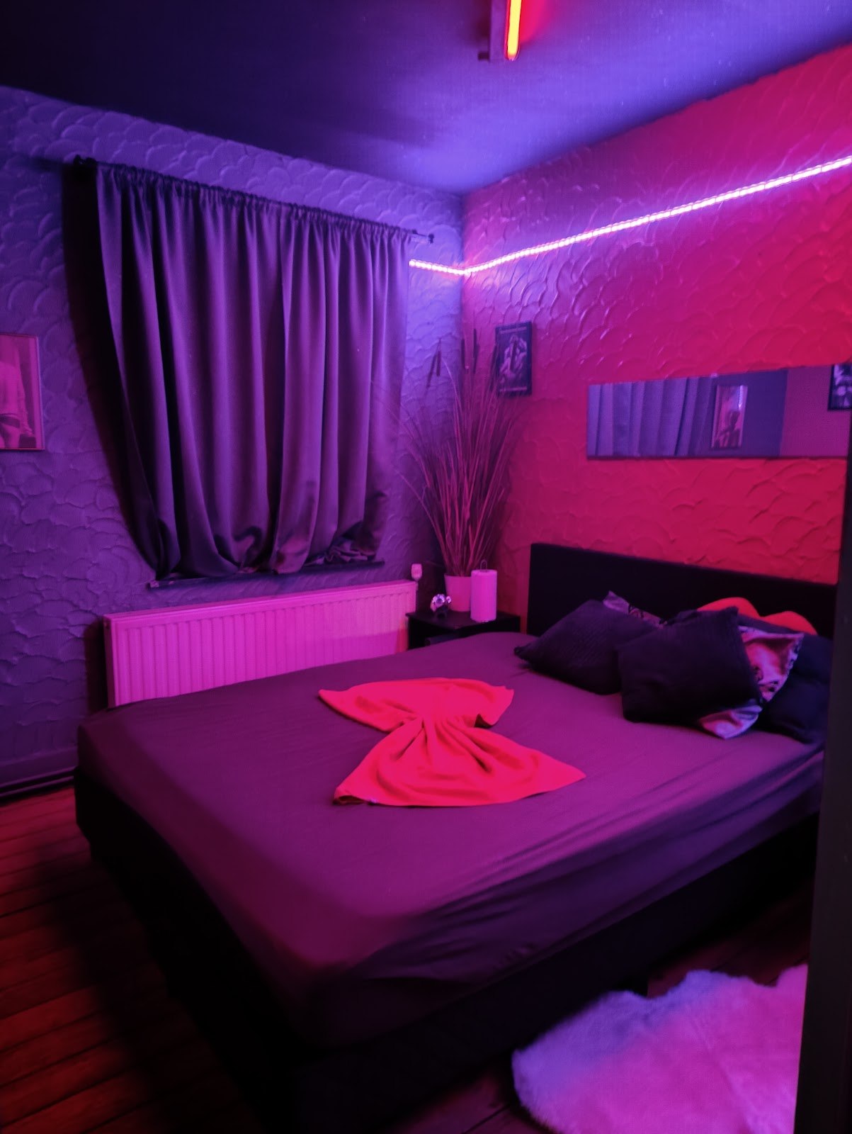La Libertine - Nightclub in Namur, Belgium