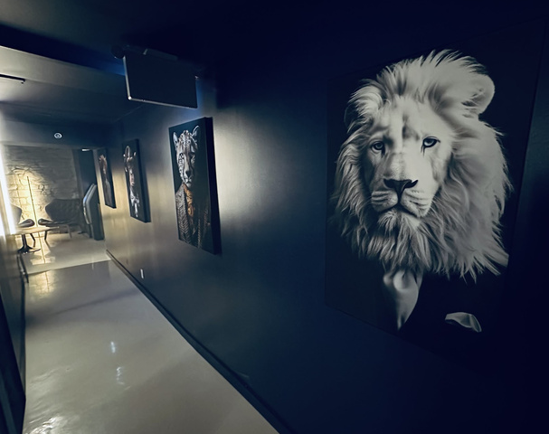 The Studio Beltline - Erotic Massage in Calgary, Canada