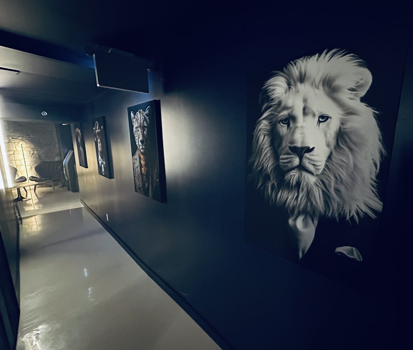 The Studio Beltline - Erotic Massage in Calgary, Canada