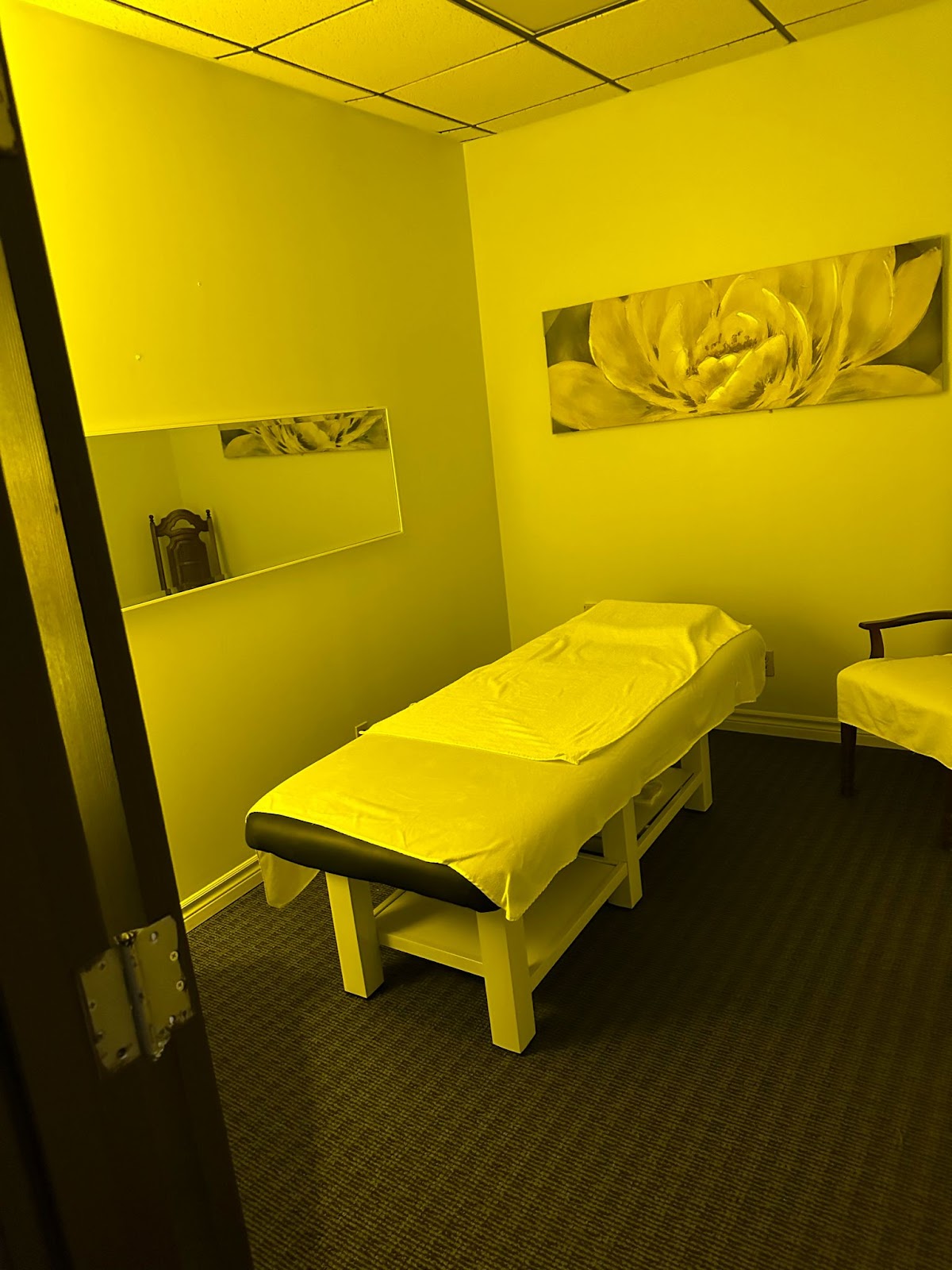 Spectrum 905 - Erotic Massage in St Catharines, Canada
