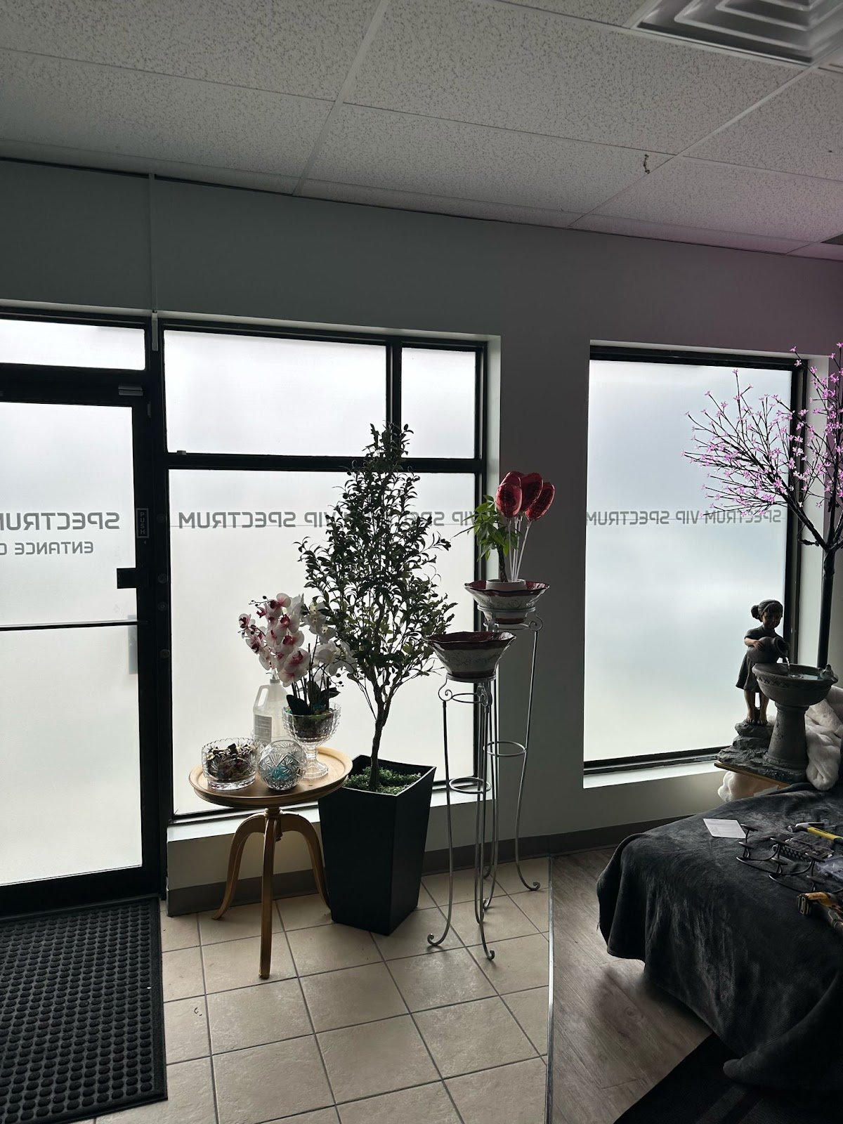 Spectrum 905 - Erotic Massage in St Catharines, Canada