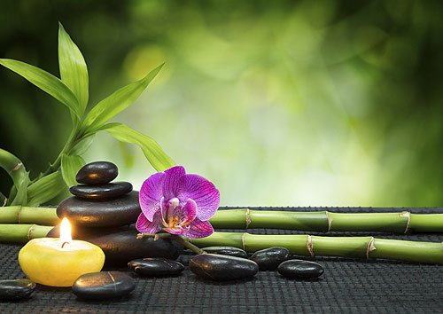 Elite Spa (精英 Spa) - Erotic Massage in Toronto, Canada