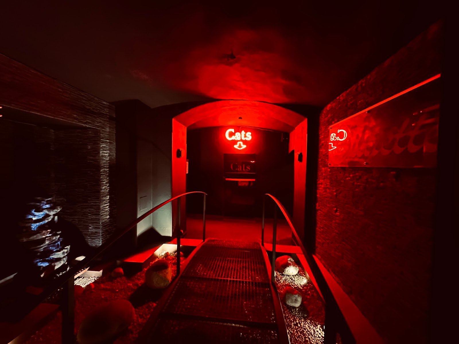 Siluette Brno - Nightclub in Brno St Ed, Czechia
