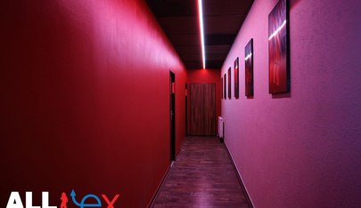 All Sex Dancing Strip Club - Nightclub in Brno, Czechia