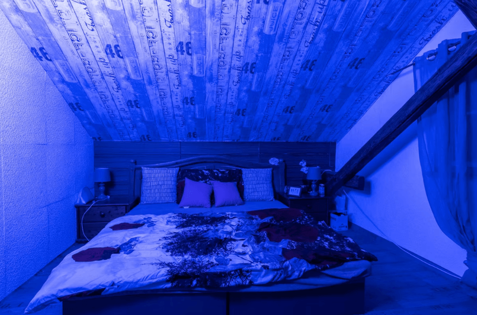 Night Club West - Nightclub in Jablonec Nad Nisou, Czechia