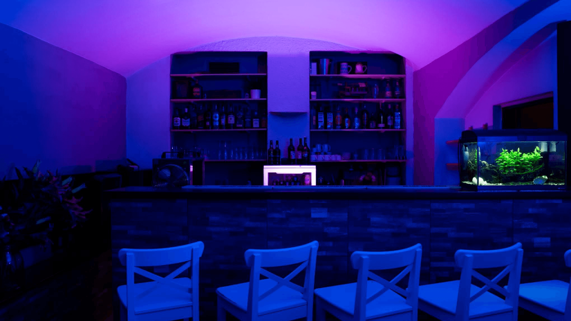 Club Lublaňská - Swinger Club in New Town, Czechia