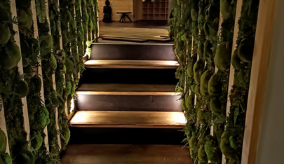Sauna Central - Praha - Fkk in Prague, Czechia