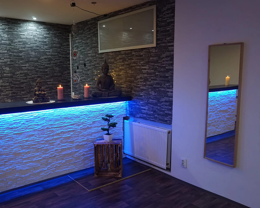 Erotic Massage Prague- Fenix - Erotic Massage in Vinohrady, Czechia