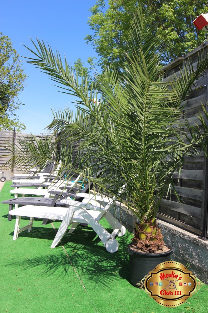 Le Moulin’s Club 3 - Swinger Club in Coullons, France