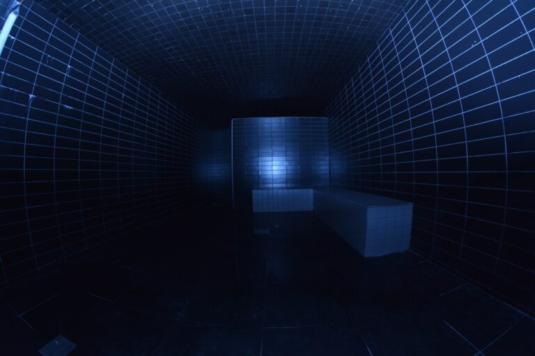 Oasis Club Sauna - Swinger Club in Lyon, France