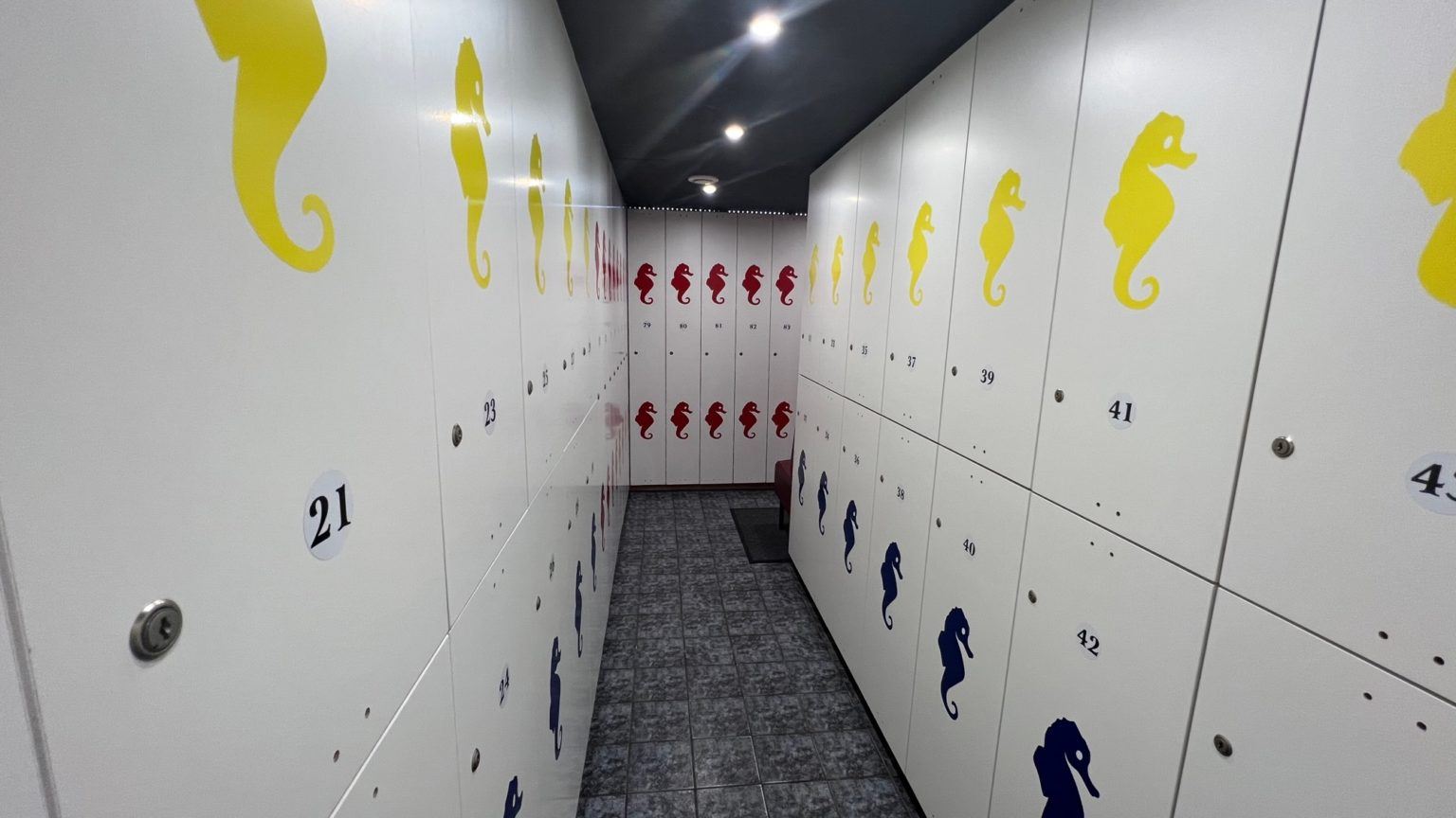 L'Hyppocampe - Swinger Club in Saint Maur Des Fosses, France