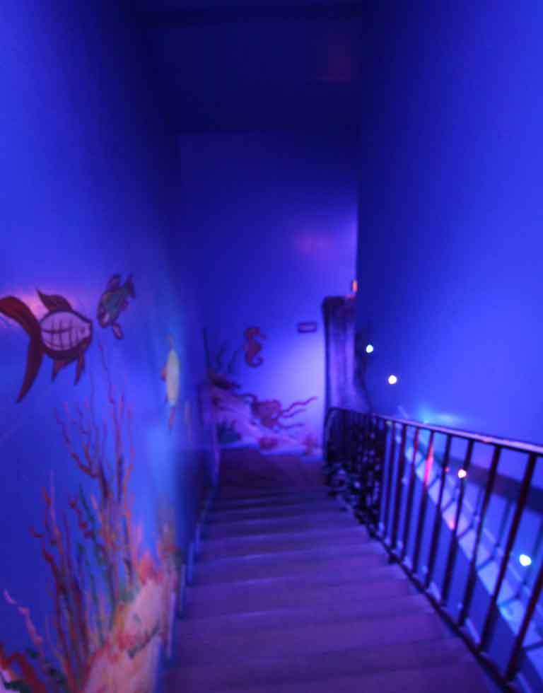 L'Hyppocampe - Swinger Club in Saint Maur Des Fosses, France