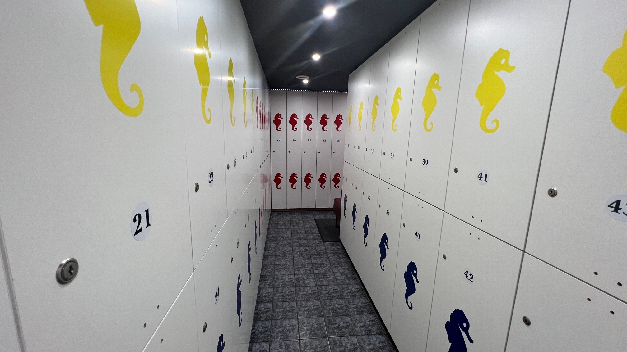 L'Hyppocampe - Swinger Club in Saint Maur Des Fosses, France