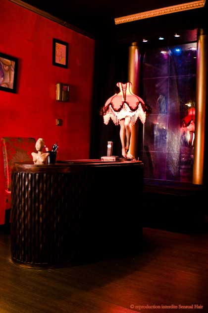Sensual Hair - Erotic Massage in Toulouse, France