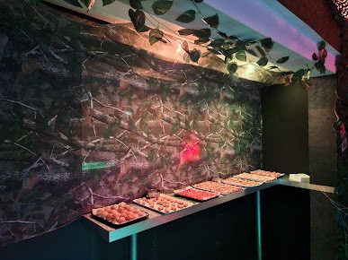 Le Privé Toulouse - Swinger Club in Toulouse, France