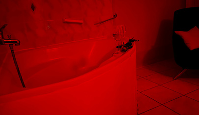 Red Roses Bordell Und Bar - Brothel in Augsburg, Germany