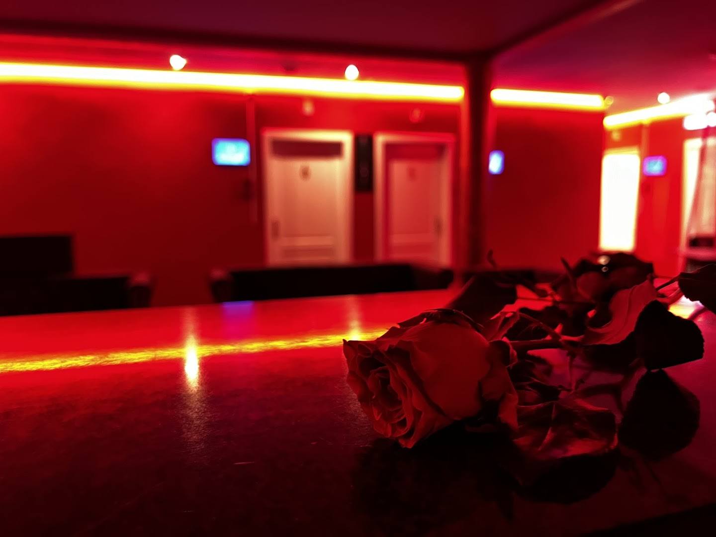 Red Roses Bordell Und Bar - Brothel in Augsburg, Germany