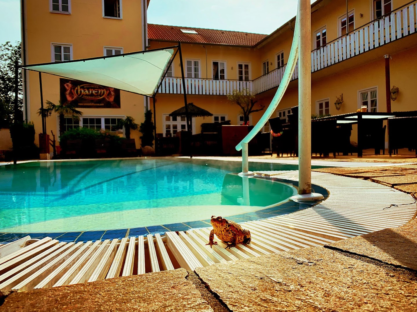 Wellness- Und Saunaclub Harem - Fkk in Bad Lippspringe, Germany