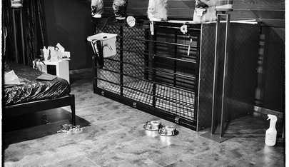 Tantra Massagen Osnabrück. Bt Company. Atelier Bizzare. - Erotic Massage in Belm, Germany