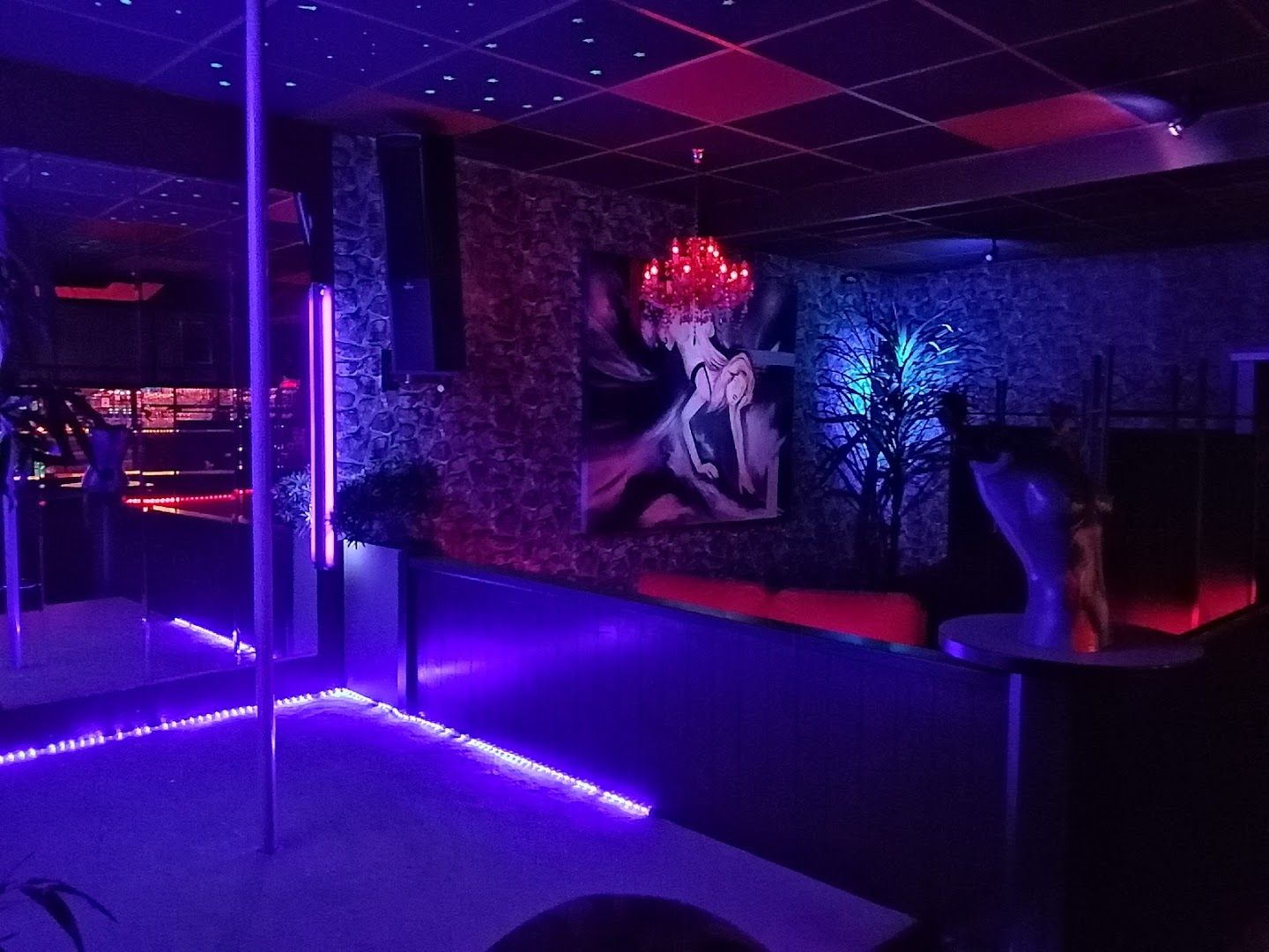 Night-Club  - Nightclub in Bodnegg, Germany