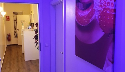 Tantra - Island - Bonn - Erotic Massage in Bonn, Germany