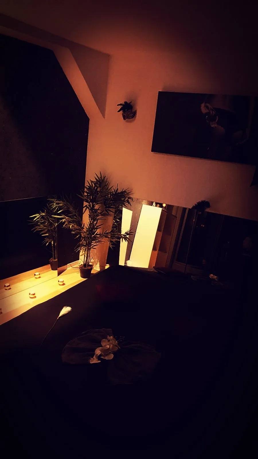 Erotik Massagen Hautnah Braunschweig - Erotic Massage in Braunschweig, Germany