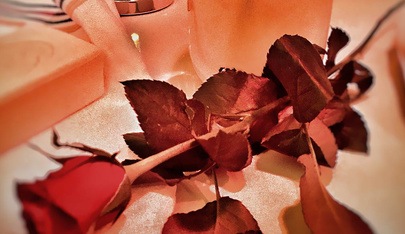 Erotische Massagen Bremen - Erotic Massage in Bremen, Germany