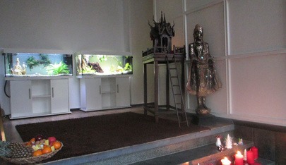 Our Touch Wellness & Health & Beauty - Tantramassagen - Erotic Massage in Cologne, Germany