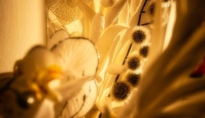 Tantra Kaschmir Massage - Erotic Massage in Cologne, Germany