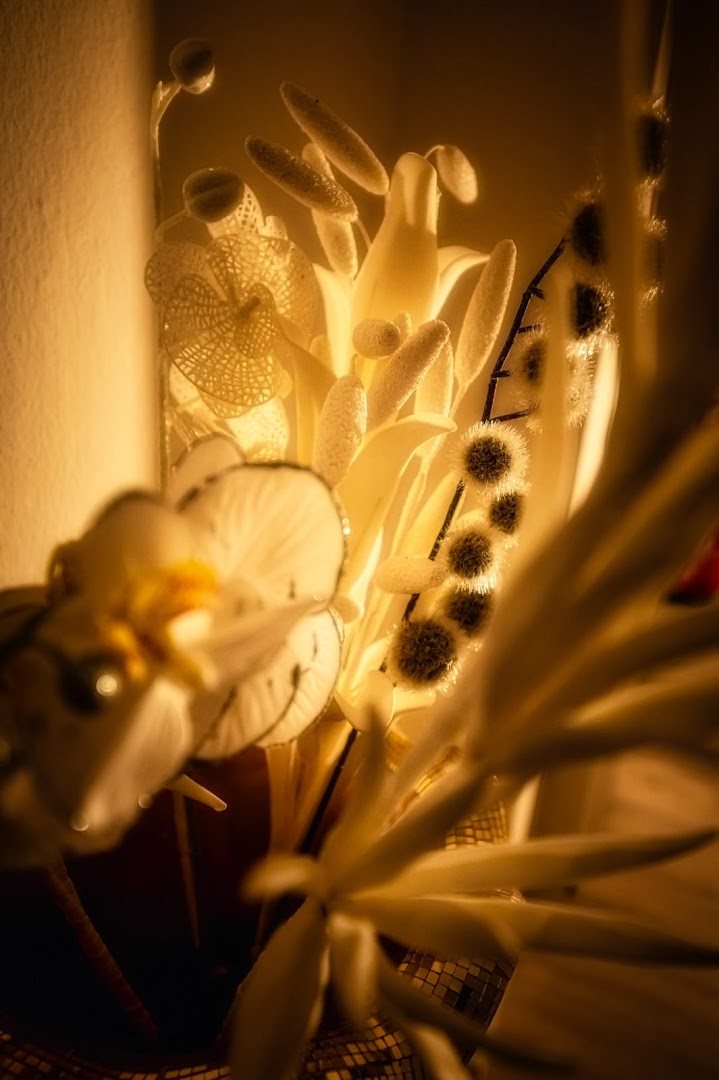 Tantra Kaschmir Massage - Erotic Massage in Cologne, Germany
