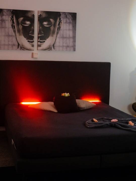Rhein-Main Massage Darmstadt - Erotic Massage in Darmstadt, Germany