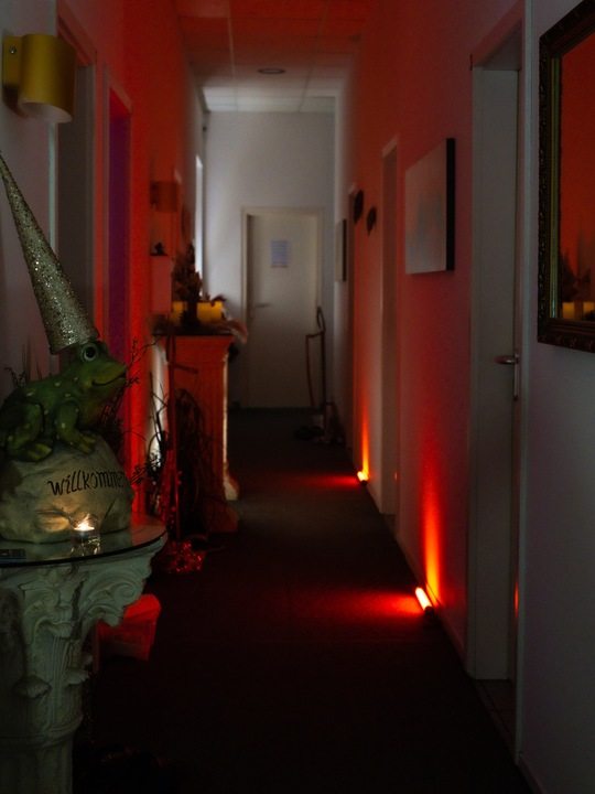 Rhein-Main Massage Darmstadt - Erotic Massage in Darmstadt, Germany