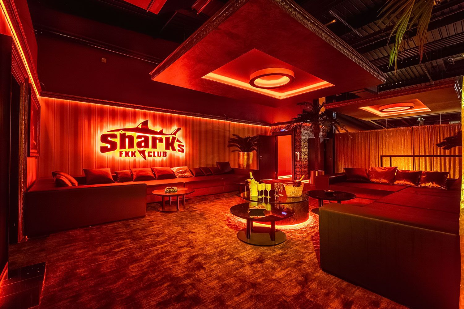 Fkk Club Sharks - Fkk in Darmstadt, Germany