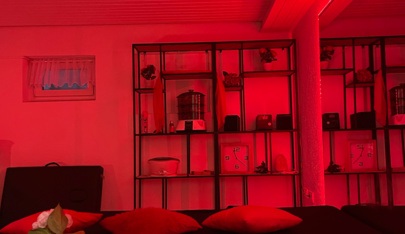 Friends By Michelle - Erotic Massage in Dietzenbach, Germany