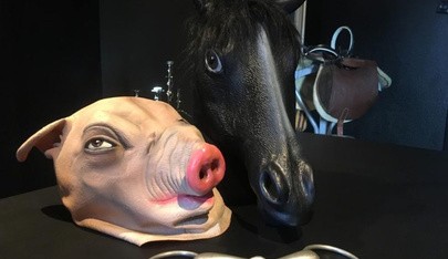 Institut Malbert Bdsm Fetisch Domina Studio - Brothel in Dortmund, Germany