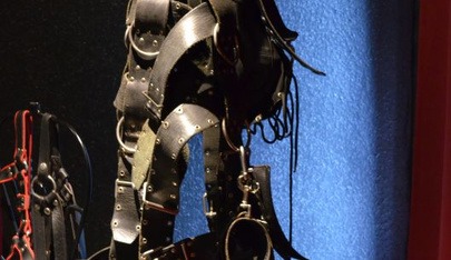 Institut Malbert Bdsm Fetisch Domina Studio - Brothel in Dortmund, Germany