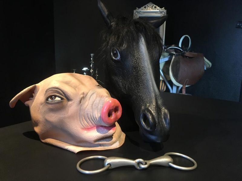 Institut Malbert Bdsm Fetisch Domina Studio - Brothel in Dortmund, Germany