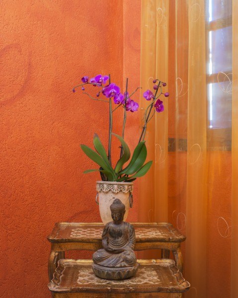 Tantra Welten - Erotic Massage in Duisburg, Germany