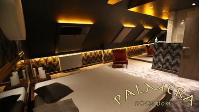 Palmera Düsseldorf: Erotikclub, Bordell, Nightclub & Saunaclub - Nightclub in Dusseldorf, Germany