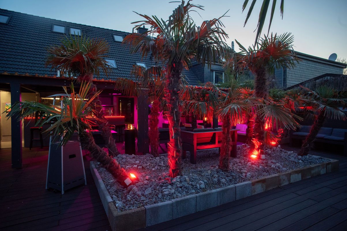 Palmera Düsseldorf: Erotikclub, Bordell, Nightclub & Saunaclub - Nightclub in Dusseldorf, Germany