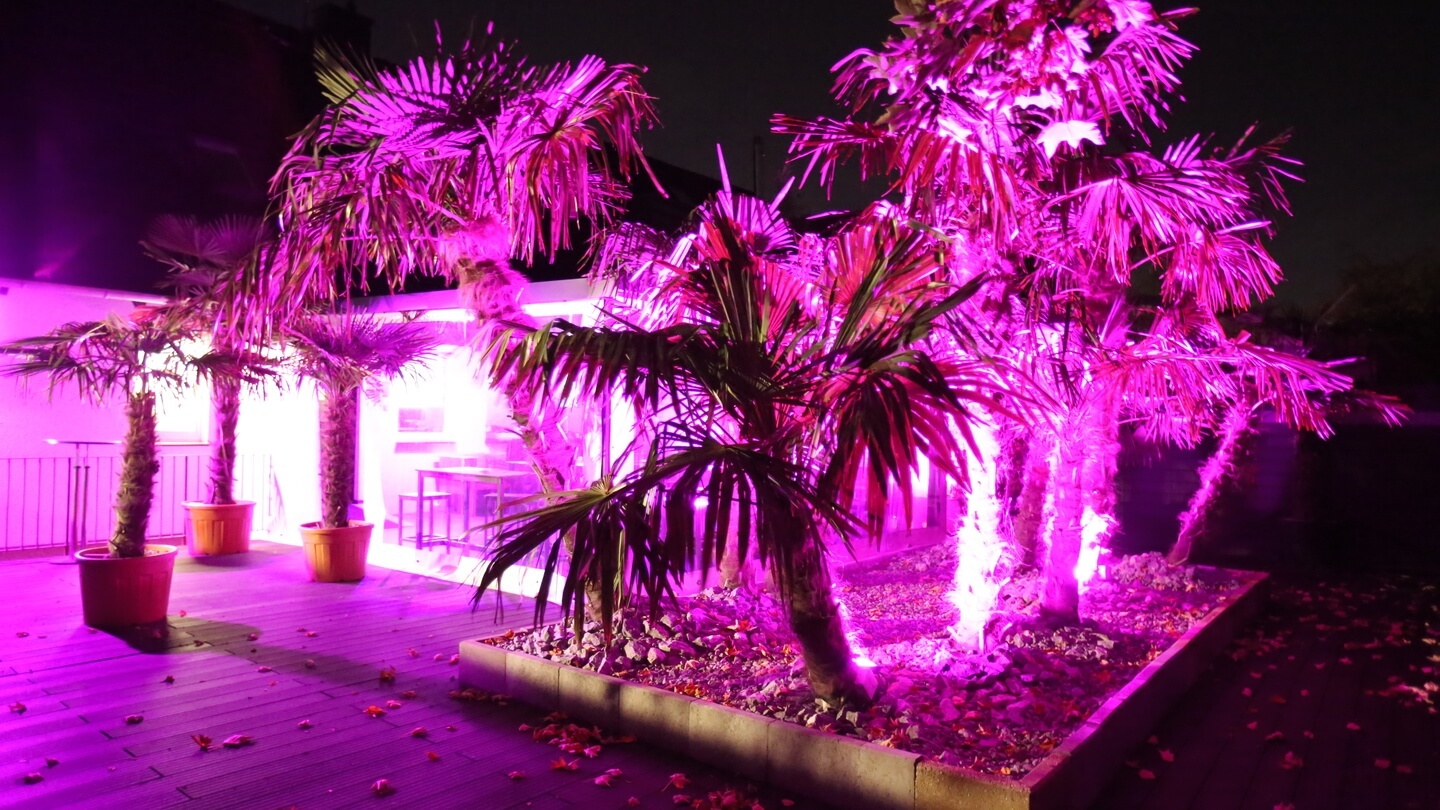 Palmera Düsseldorf: Erotikclub, Bordell, Nightclub & Saunaclub - Nightclub in Dusseldorf, Germany