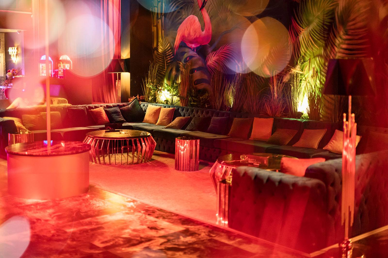 Flamingo Island - Fkk Saunaclub Karlsruhe Bei A5 Von A8 Stuttgart, München - Fkk in Ettlingen, Germany