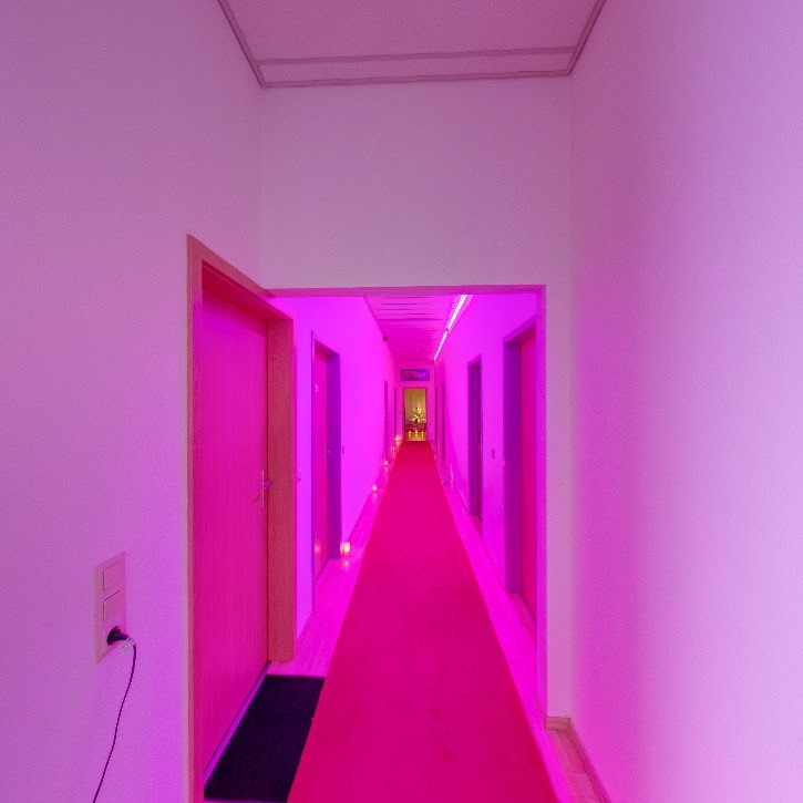 Orchidee Massage - Erotic Massage in Frankfurt Am Main, Germany