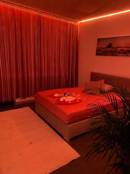 Lotus Massagestudio - Erotic Massage in Frankfurt, Germany