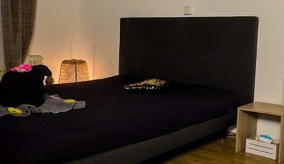 Rhein-Main Massage Gustavsburg - Erotic Massage in Ginsheim Gustavsburg, Germany