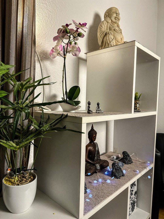 Rhein-Main Massage Groß-Gerau - Erotic Massage in Gross Gerau, Germany